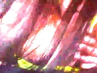 Asmr Big Tits Unexperienced Stunner Bj's Meatpipe In Neon Undergarments