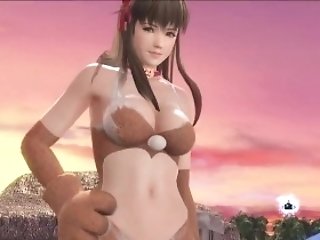 Dead Or Alive Xtreme Venus Vacation Hitomi Fluffy Cub Swimsuit Fanservice Gratitude P